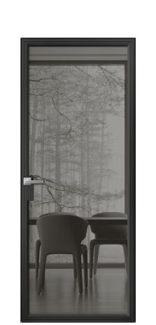 Дверь межкомнатная Frame 01 Цвет Черный Покрытие Алюминий  Наличник Скрытый короб Цена 79110